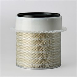 P 18-1000  SF filter P181000