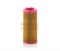 C14210/2 Воздушный фильтр Mann filter C142102